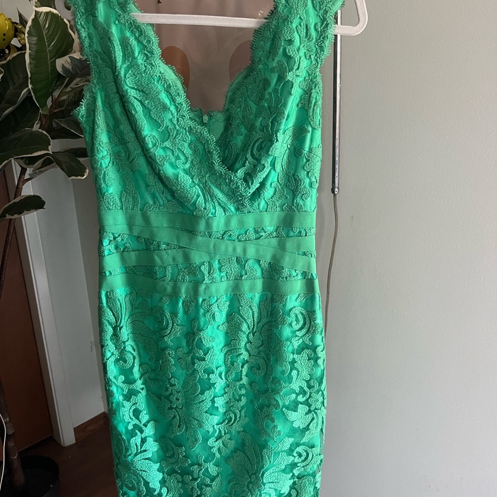 Tadashi Shoji Elegant Summer Lace Dress in Green